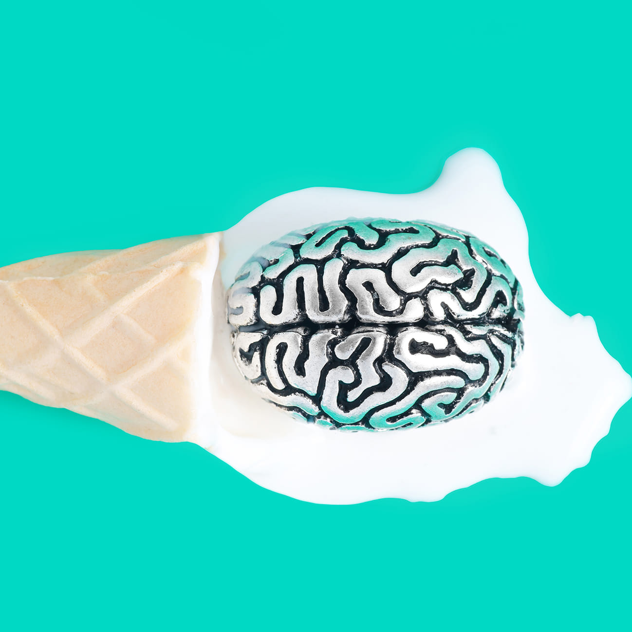 El calor y el cerebro