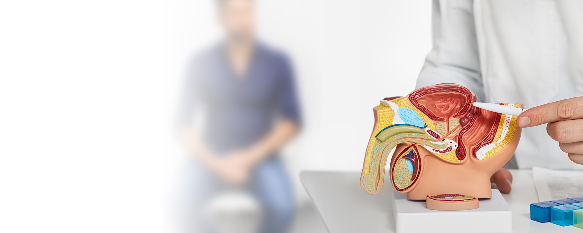 Salud masculina: Cómo cuidar la salud urológica según la edad